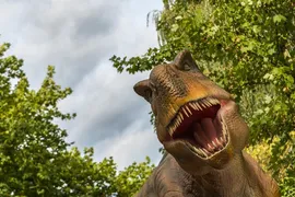 Dino Dino