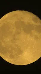 Luna Luna