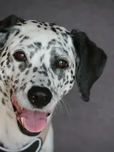 Matilda Matilda