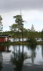Maja