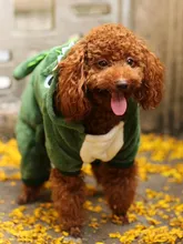 Cooper Cooper