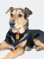 Matilda