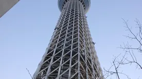 Tokyo Tokyo