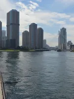 Tokyo Tokyo