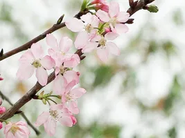 Hope