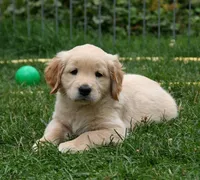Marley Marley