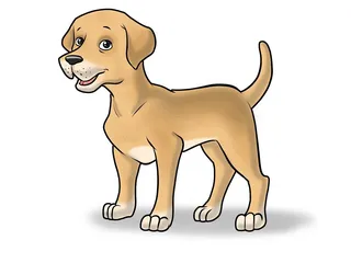 Perdita Perdita