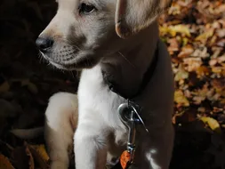 Marley Marley