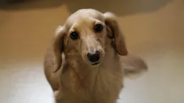 Murphy Murphy