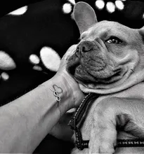 Delila+Tattoo