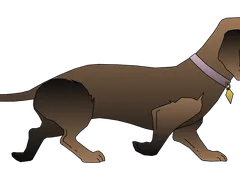 Karu Karu