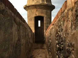 Rico