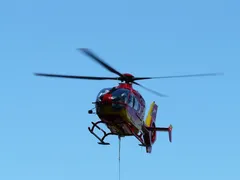 Bonita-Jetzt mag ich wieder auf meine weiche Decke!