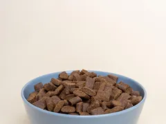 Dodi Dodi