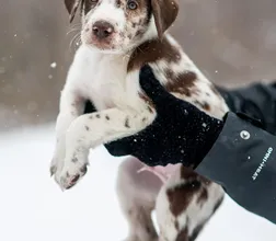 Buster