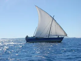Vela