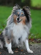 Matilda Matilda