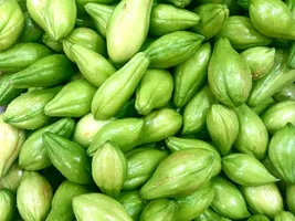 Chayote Chayote