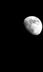 Luna Luna