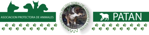 Asociacion protectora de animales patan