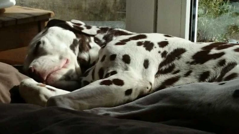 Cooper Cooper