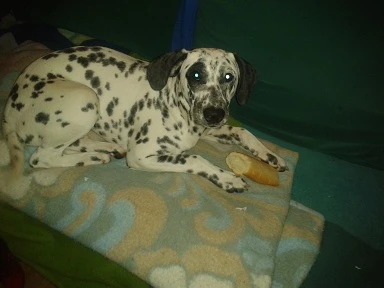 Fosca
