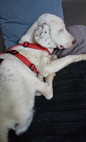 Luna
