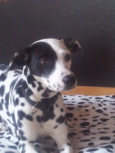 Margo