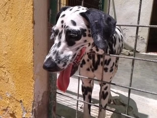 Vilma