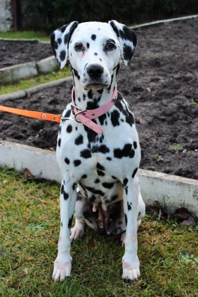 Zoe