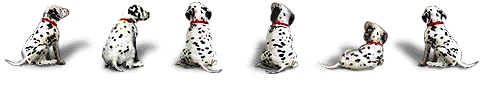 Dalmatiner/hund Dalmatiner/hund