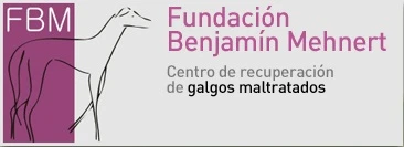 Benjamin-Mehnert-Stiftung