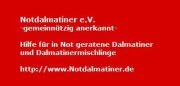 Notdalmatiner e.V.